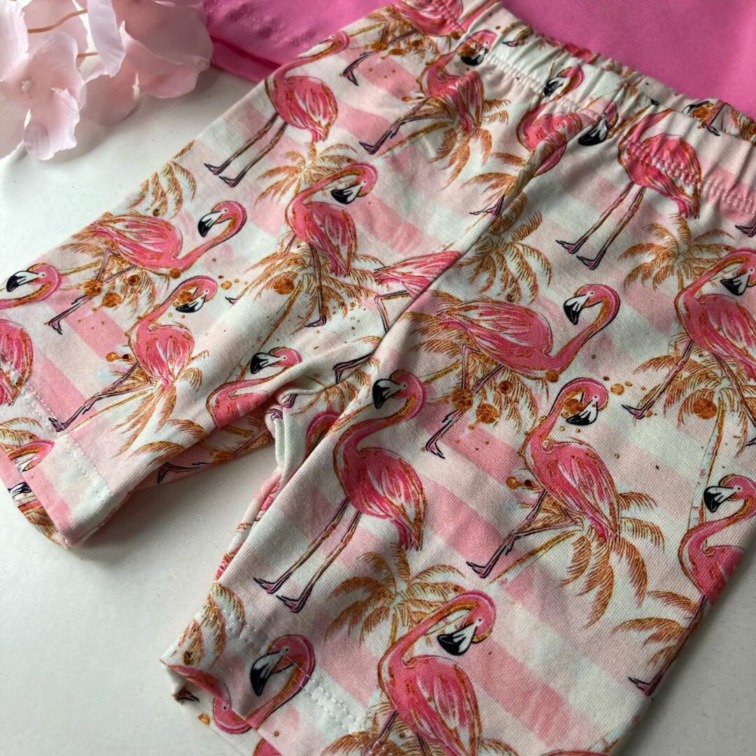 Kolarki flamingi Haydi