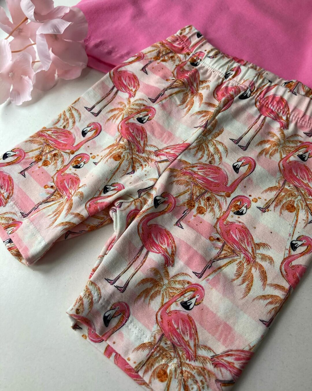 Kolarki flamingi Haydi